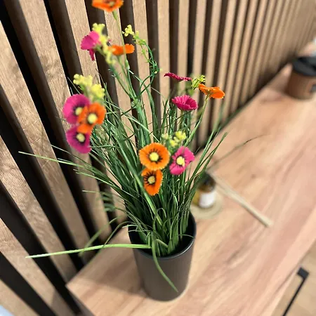 No1 Z Bezplatnym Parkingiem Podziemnym-faktura, Netflix *