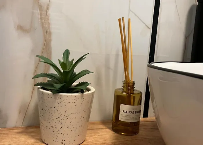 No1 Z Bezplatnym Parkingiem Podziemnym-faktura, Netflix Koszalin